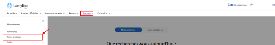 Capture d'écran 2024-10-22 120201.png