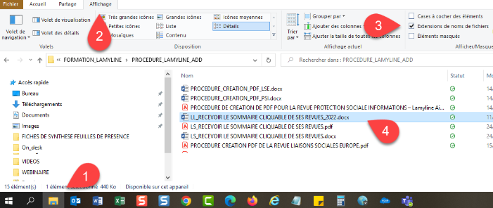 Capture d'écran 2024-10-25 084224.png